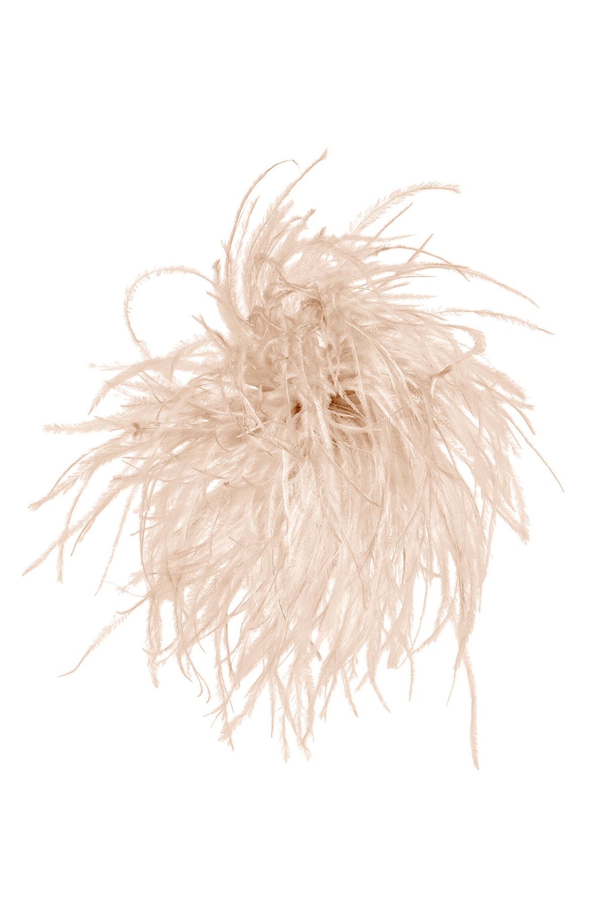 Luisa Cerano Feder-Brosche Soft Camel BEIGE Bild 1